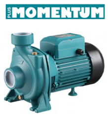 Momentum Pgm/5AM 2Hp 220v Tek Fanlı Santrifüj Pompa