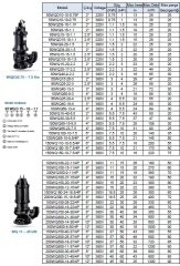 Leo 65SWUm24-12.5-2.2   3Hp 220V  Döküm Gövdeli Atık Su Pompası