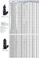 Leo 65SWU30-11-3   4Hp 380V  Döküm Gövdeli Atık Su Pompası