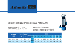 Atlantis KES 42/3-1.5M 2hp 220v Yüksek Basınçlı Keson Kuyu Dalgıç Pompa