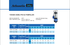 Atlantis FSP 10-0.55 M 0.75hp 220v Pis Su Dalgıç Pompa