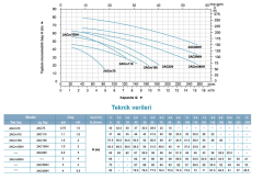 Leo 2ACm 300 H 4hp 220v Çift Kademeli Santrifüj Pompa