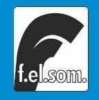 Felsom FM04 007M  0.75 Hp 220V  4'' Dalgıç Pompa Motoru - Yağ Soğutmalı (Orjinal İtalyan)