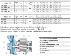 Pedrollo HFm 5AM 2hp 220v 2\'\' Çıkışlı Santrifüj Pompa