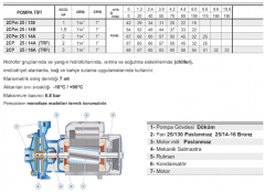 Pedrollo 2CP 25/16A 3hp 380v 1\'\' Çıkışlı Çift Kademeli Santrifüj Pompa