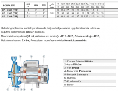 Pedrollo CP 230B 5.5hp 380v 2\'\' Çıkışlı Tek Fanlı Santrifüj Pompa