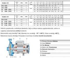 Pedrollo CP 210B 4hp 380v 1\'\' Çıkışlı Tek Fanlı Santrifüj Pompa