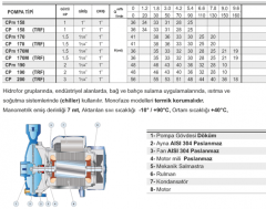 Pedrollo CP 200 3hp 380v 1\'\' Çıkışlı Tek Fanlı Santrifüj Pompa