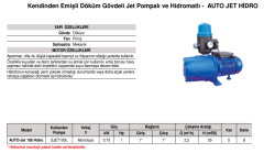 Stream AUTO-Jet 100 Hidro 1hp 220v Döküm Gövdeli Paket Hidrofor