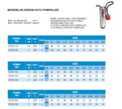 Felsom FEX5 515   1.5Hp 220V   Çok Kademeli Dipten Emişli Monoblok Keson Kuyu Pompa
