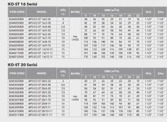 Etna APS KO-ST 8/13-55  7.5Hp 380V Komple Paslanmaz Çelik Dik Milli Çok Kademeli Kompakt Yapılı Yüksek Verimli Santrifüj Pompa - Aisi 304 (2900 d/dk)