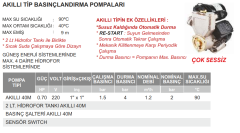 Atlantis AKILLI 40M 0.70hp 220v Güneş Enerjisi Basınçlandırma Pompası