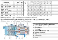 Pedrollo 3CRm 80-N 0.6hp 220v Paslanmaz Gövdeli Kademeli Santrifüj Pompa