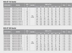 Etna APS KO-ST 12/4-30  4Hp 380V Komple Paslanmaz Çelik Dik Milli Çok Kademeli Kompakt Yapılı Yüksek Verimli Santrifüj Pompa - Aisi 304 (2900 d/dk)