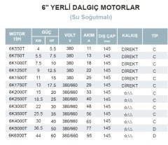 Atlantis Blu 6K5000T  50Hp 380V   6\'\' Yerli Dalgıç Motor