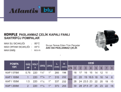 Atlantis Blu Kaf1 100m 1hp 220v Komple Paslanmaz Kapalı Fanlı Santrifüj Pompa