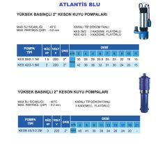 Atlantis Blu KESB 45/3-2.2M  3Hp 220V Döküm Gövdeli Yüksek Basınçlı 2'' Keson Kuyu Dalgıç Pompa