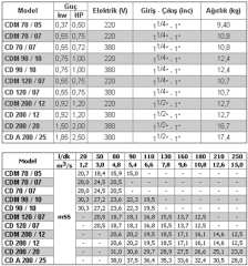 Ebara CDm 200/12 1.2hp 220v Tek Kademeli Komple Paslanmaz Santrifüj Pompa