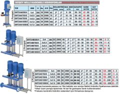 Sumak, SHT 24 A 550/4, 5.5HP, 380V,  2900 d/d, 1X4Kw, Tek Pompalı, Düşey Milli Kademeli Hidrofor