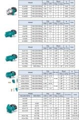 Leo  Acm37   0.5hp 220v  Tek Fanlı Santrifüj Pompa