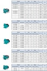 Leo  ACm220CH2   3Hp 220V  Tek Kademeli Santrifüj Pompa