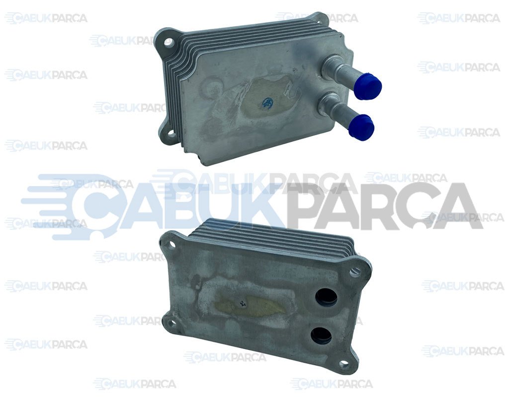 YAĞ SOĞUTUCU PETEĞİ E.M.2.4 V184