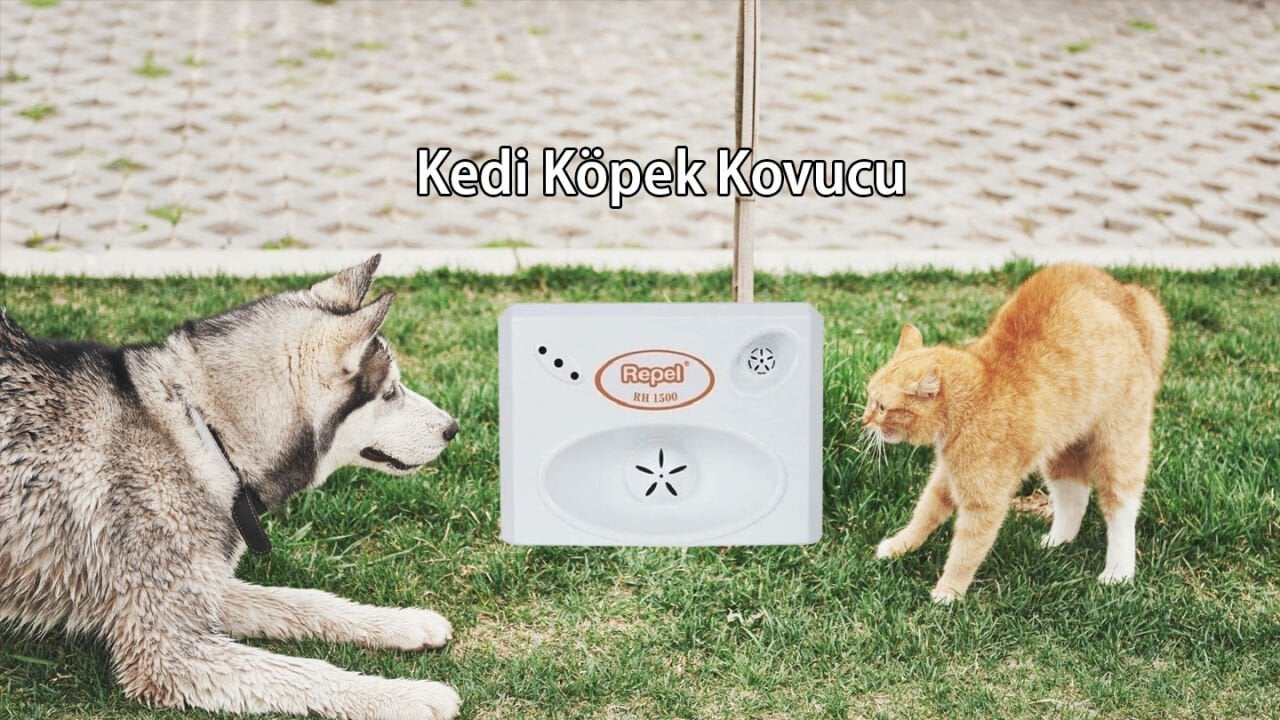 Kedi Köpek Hayvan Kovucu