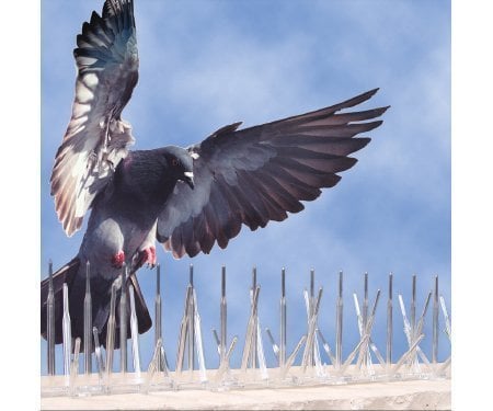 Plastik Kuş Konmaz Dikeni - Kuş Kondurmaz Tel Diken 10'lu Paket