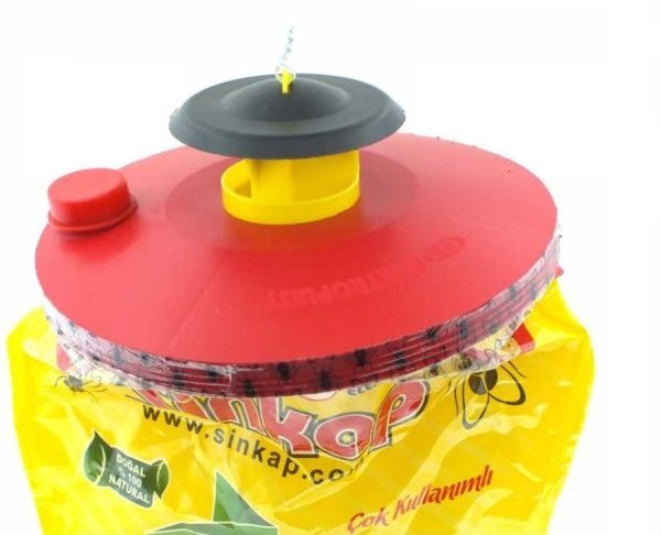 Sinkap Karasinek Tuzağı Fly Trap