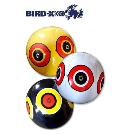 Kuş Kovucu Balon 3'lü Paket Bird-x Scare Eyes