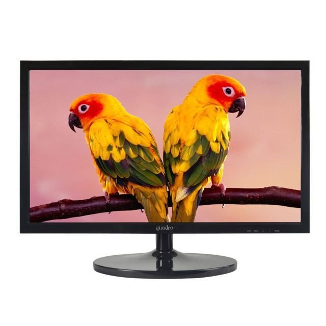 QUADRO-185QE 185'' 1366x768, 5ms, 60hz, VGA, LED, Siyah, Monitor