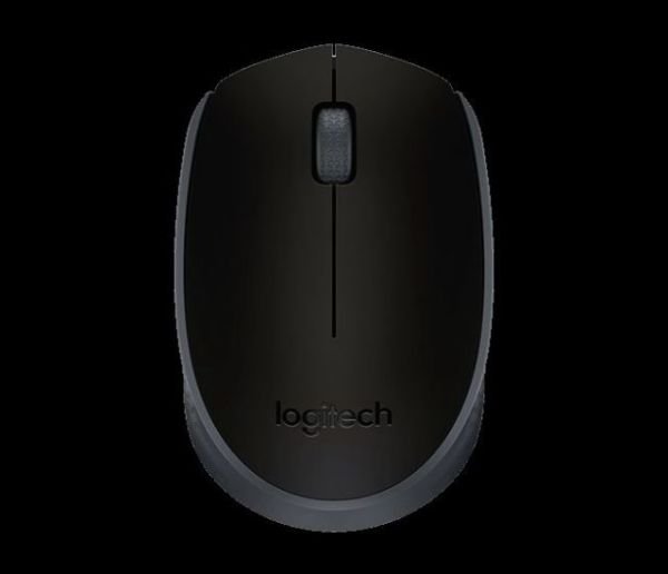 910-004642 M170 Kablosuz Siyah Mouse