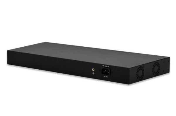 DN-95313 Web Destekli Akıllı Fast Ethernet PoE Anahtarlama Cihazı 24 port RJ45,