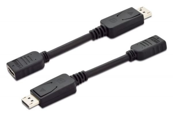 AK-340400-001-S DisplayPort (DP) - HDMI Adaptör Kablosu, DP Erkek - HDMI Tip A Dişi, 0.1