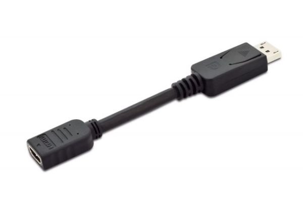 AK-340400-001-S DisplayPort (DP) - HDMI Adaptör Kablosu, DP Erkek - HDMI Tip A Dişi, 0.1