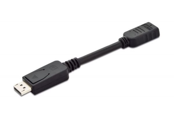 AK-340400-001-S DisplayPort (DP) - HDMI Adaptör Kablosu, DP Erkek - HDMI Tip A Dişi, 0.1