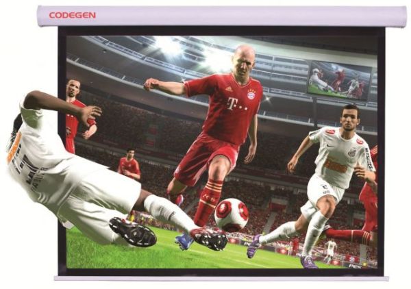 AS-20 200x200 Pro Siyah Fonlu Gümüş Kumaş Storlu Projeksiyon Perdesi