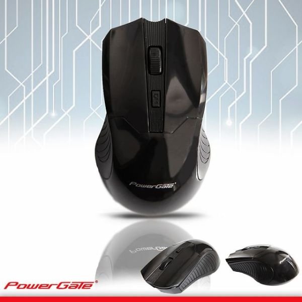 PG-D425S PowerGate D425S Kablosuz Nano 2.4GHz Siyah Mouse