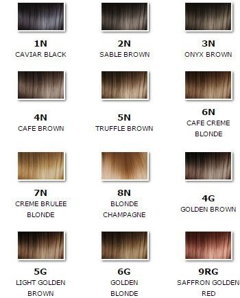 Aequo Color 8N Champagne Blonde