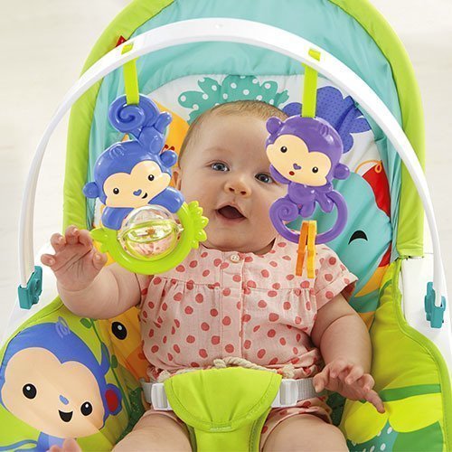 Fisher Price Yağmur Ormanı Dostları Anakucağı ve Sallanan Sandalye