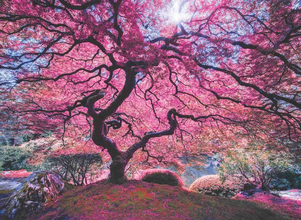 Anatolian Puzzle 1000 Parça Pembe Ağaç 1037