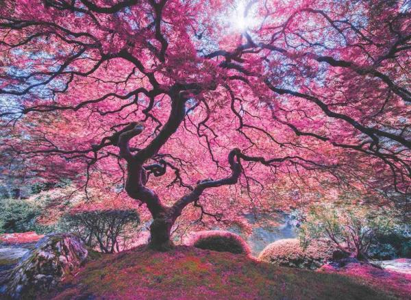 Anatolian Puzzle 1000 Parça Pembe Ağaç 1037