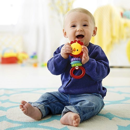 Fisher-Price Çıngıraklı Aslan