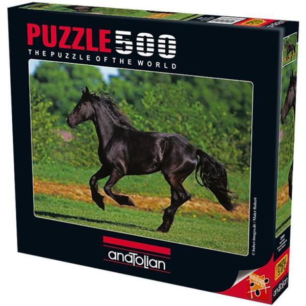 Anatolian Puzzle 500 Parça Dört Nala 3569