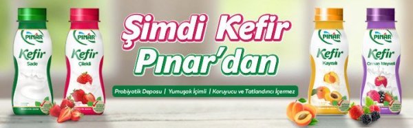 Pınar Kefir Orman Meyveli 200 ml