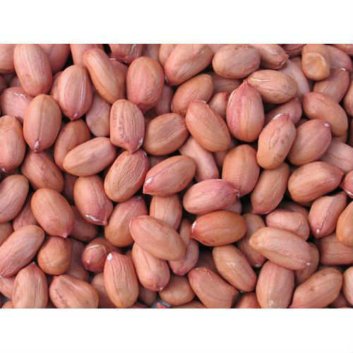Dogalıte Fıstık İçi Sade 300 g