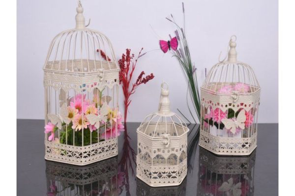 Paçi Dekoratif Köşeli Kafes Kelebek Desenli Mavi Orta