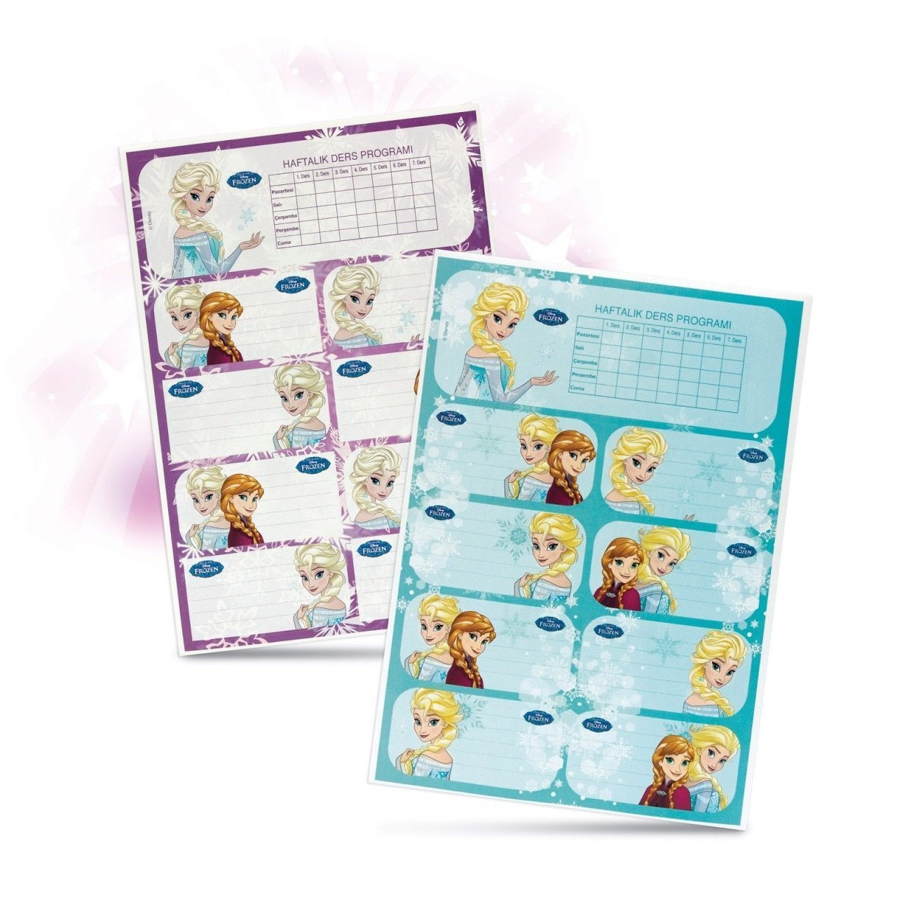 Frozen Okul Etiketi 3 Adet Mavi