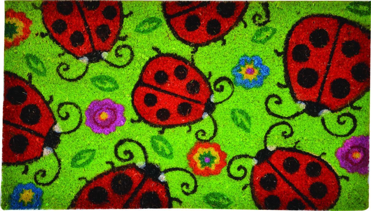 Sercan PVC Tabanlı Paspas 40 x 60 cm Uğur Böcekleri