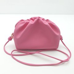 PINA MODEL
